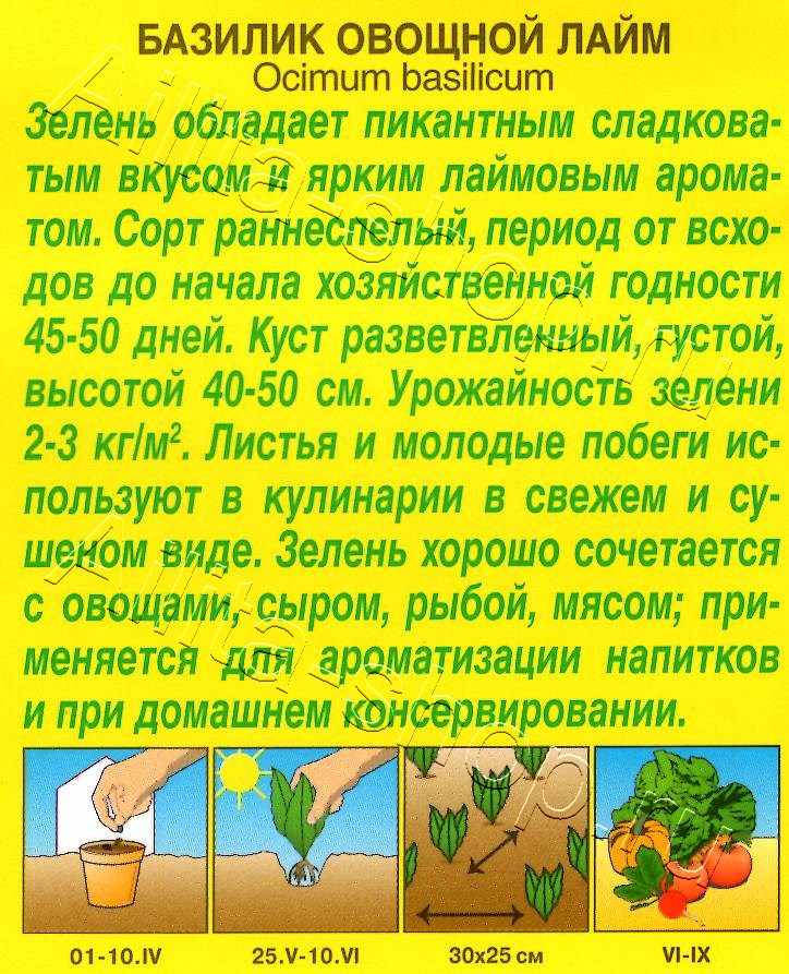 Базилик овощной Лайм 0,2г