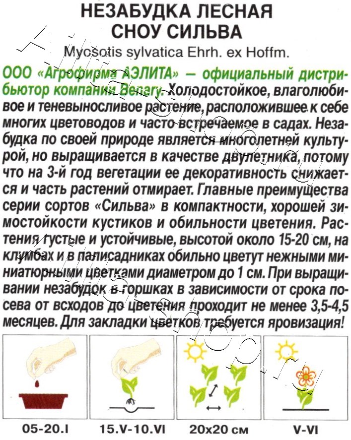 Незабудка лесная Сноу сильва 10шт