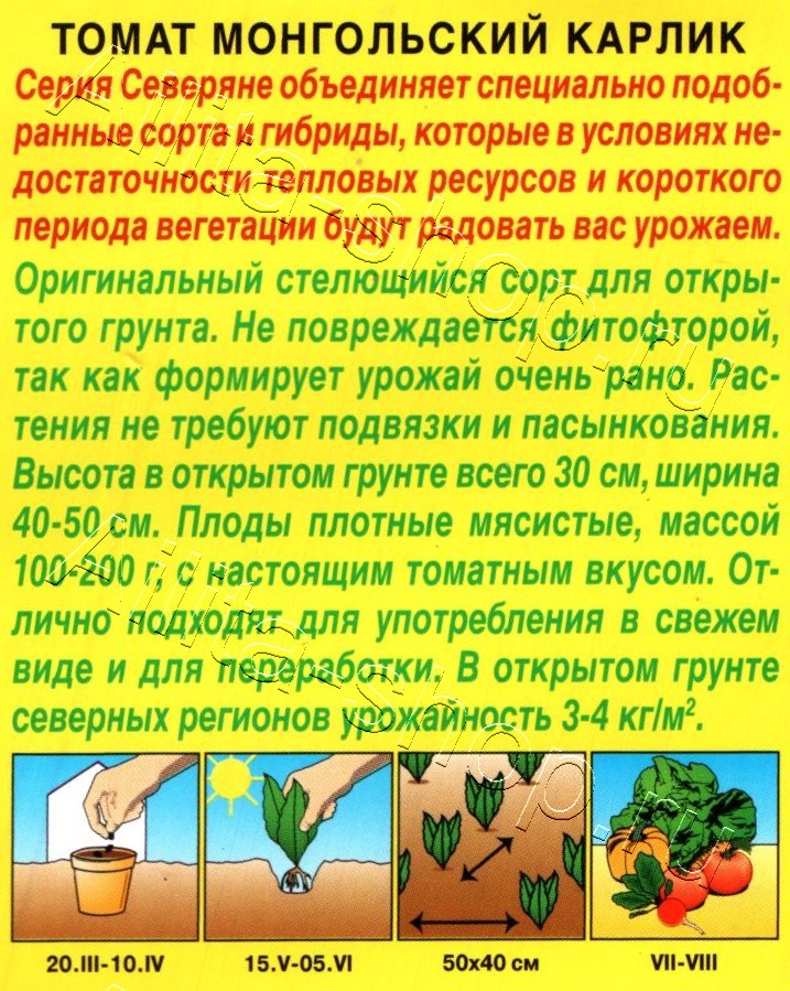 Томат Монгольский карлик 20шт
