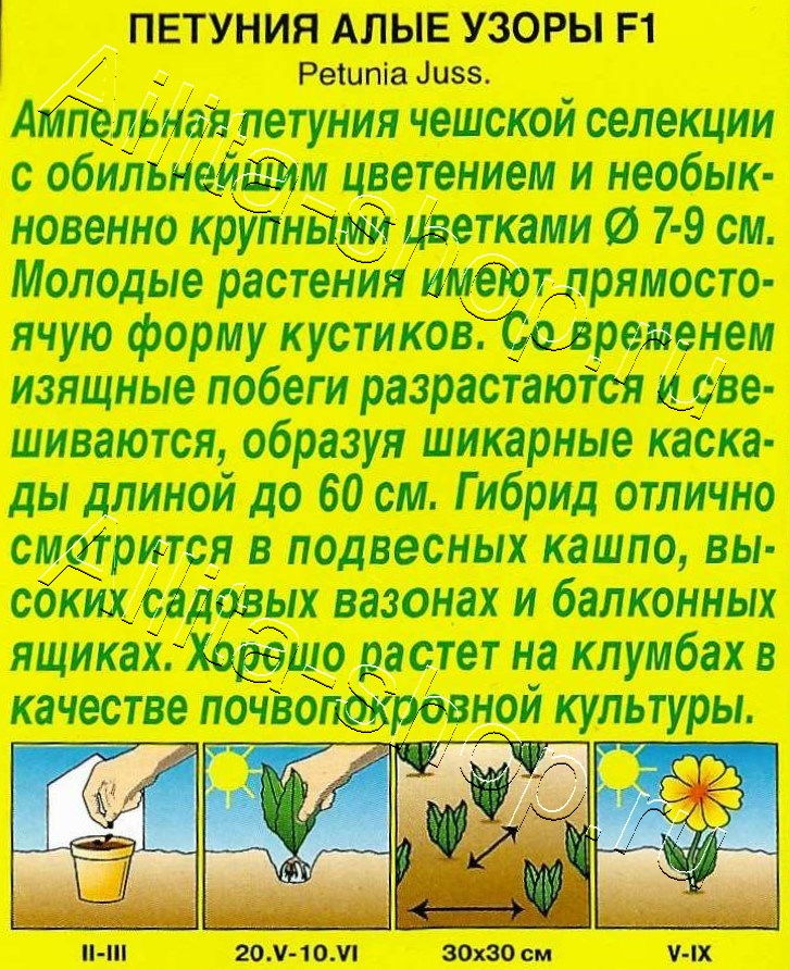 Петуния Алые узоры F1 крупноцветковая 7шт