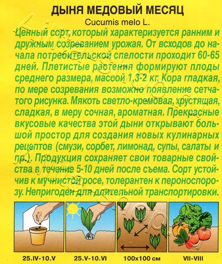 Дыня Медовый месяц 1г