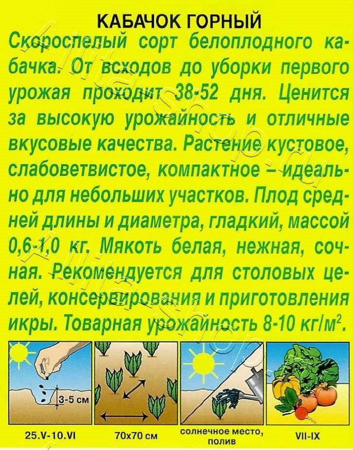 Кабачок белоплодный Горный 2г