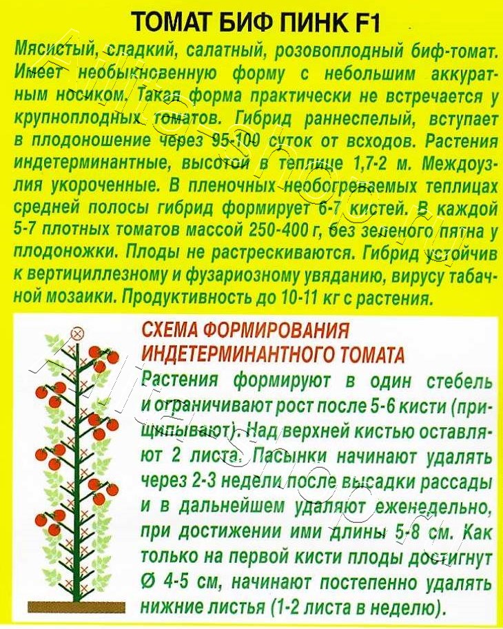 Томат БИФ Пинк F1 15 шт