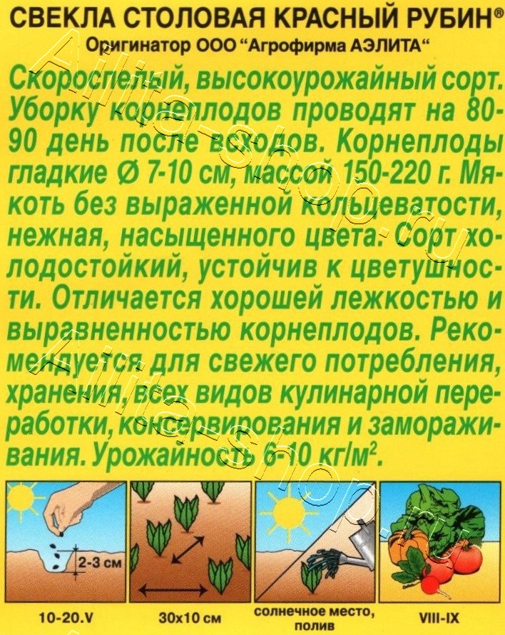 Свекла столовая Красный рубин 3г