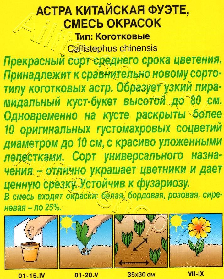 Астра Фуэте коготковая, смесь окрасок 0,2г