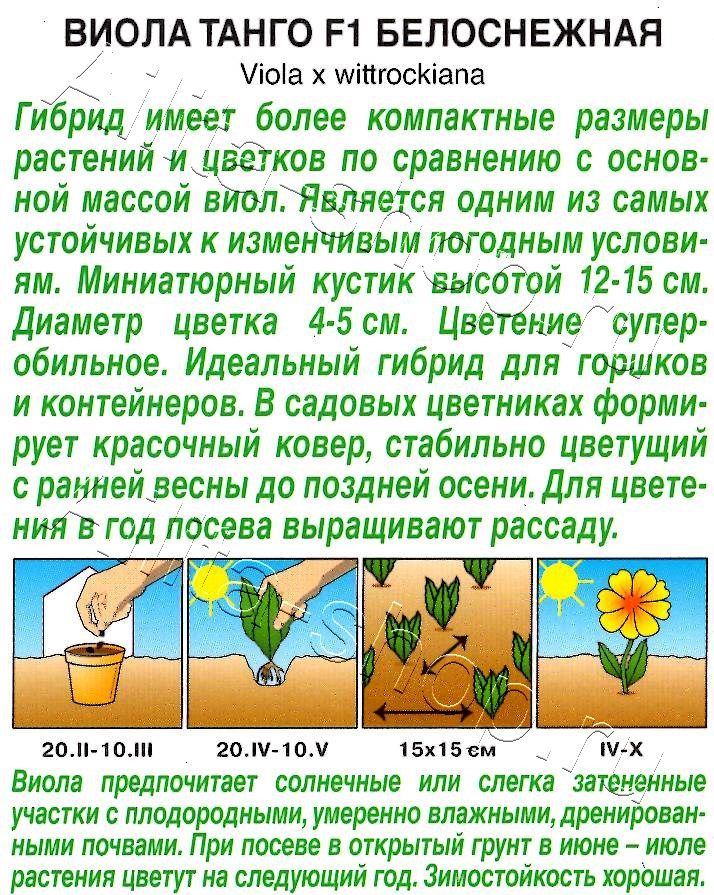 Виола Танго F1 белоснежная 0,04г