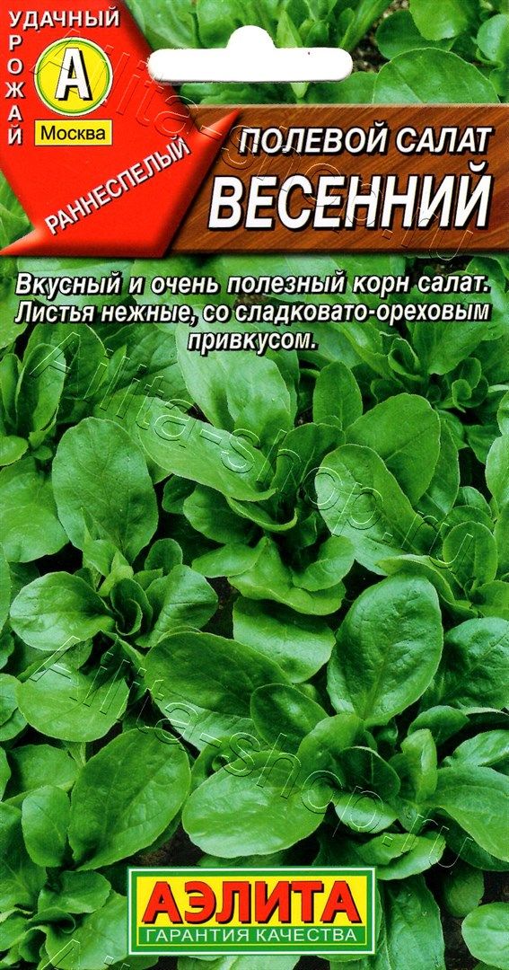 Полевой салат Весенний 0,5г