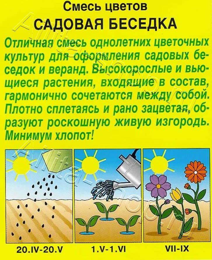 Смесь цветов Садовая беседка 2г