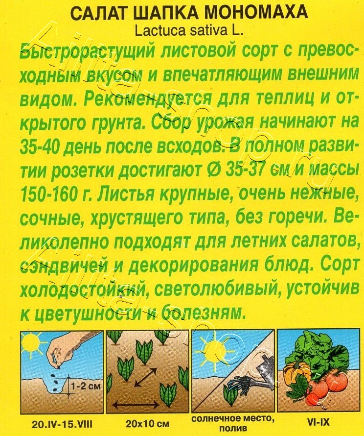 Салат Шапка Мономаха 0,5г