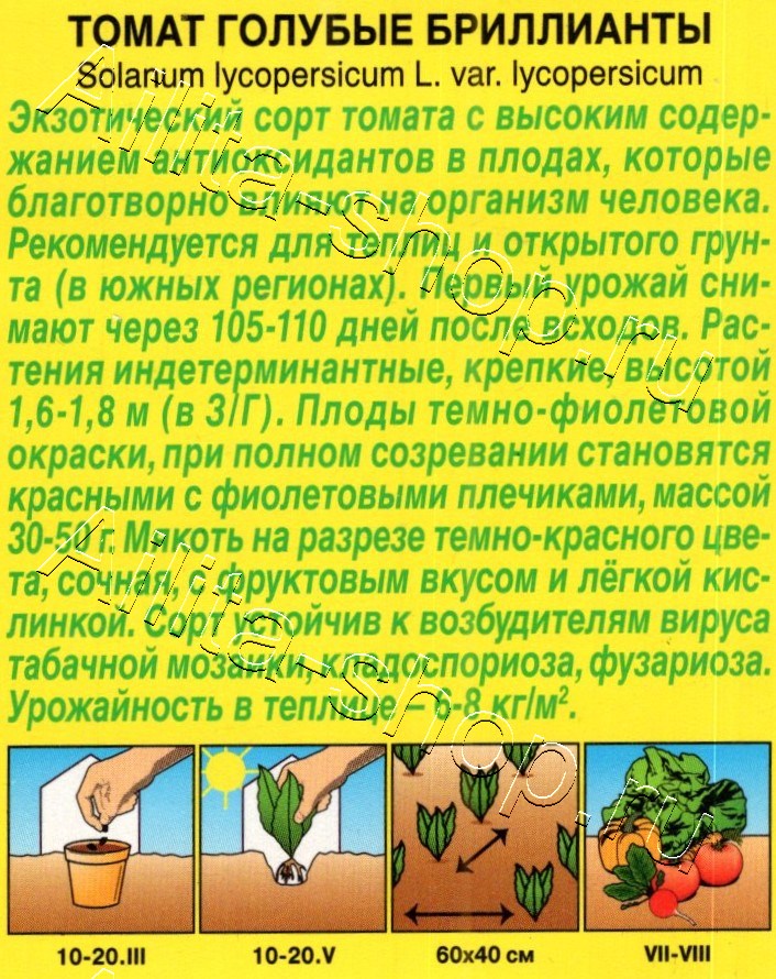 Томат Голубые бриллианты 20шт