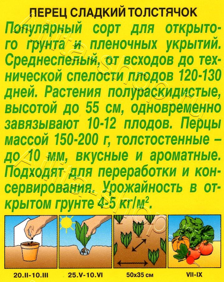 Перец сладкий Толстячок 20шт