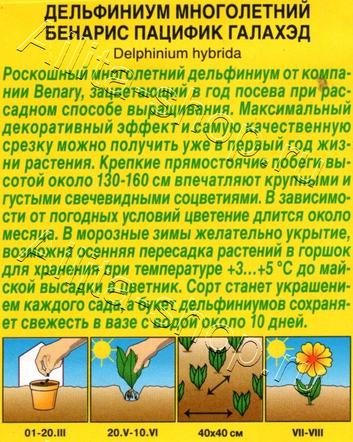 Дельфиниум Бенарис пацифик галахэд 10шт