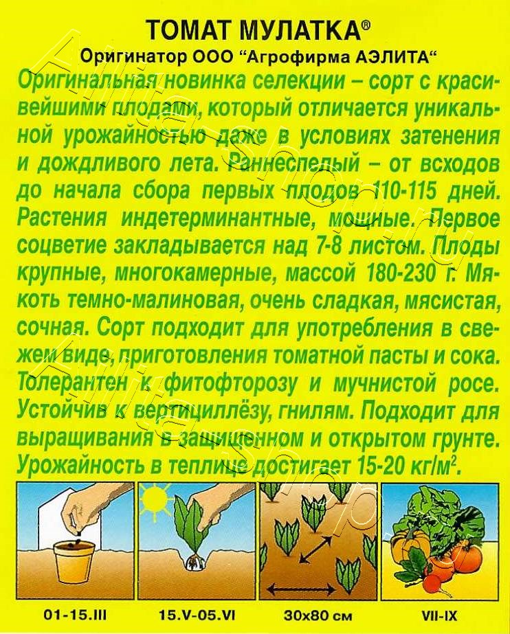 Томат Мулатка 20шт