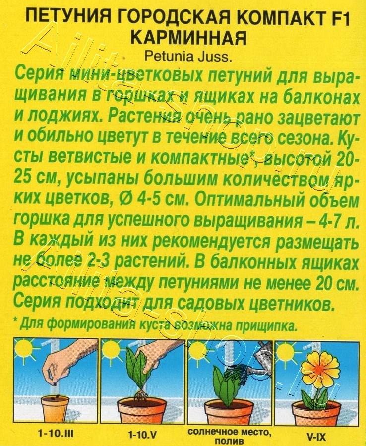 Петуния Городская компакт F1 карминная 7шт