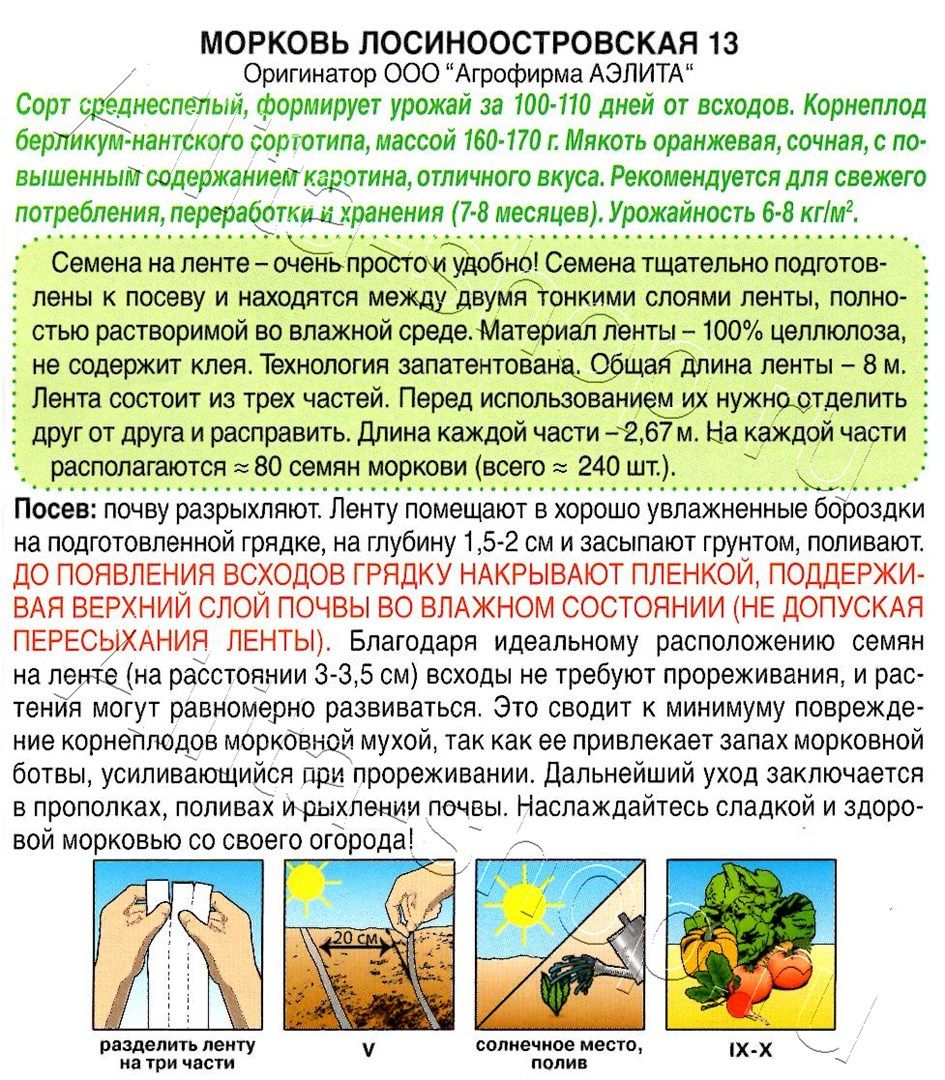 Морковь Лосиноостровская 13 на ленте 8м