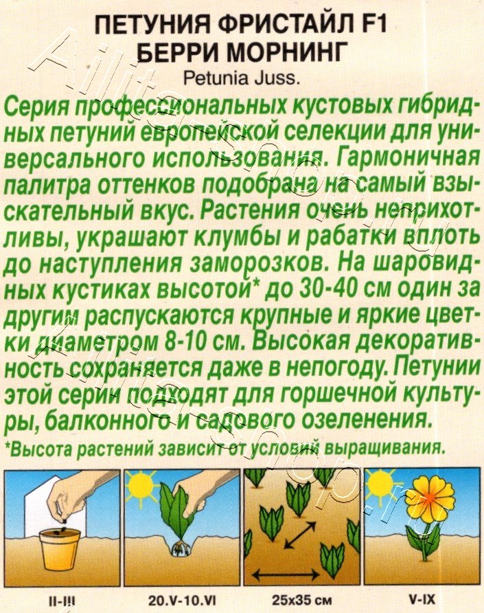 Петуния Фристайл F1 берри морнинг 7шт