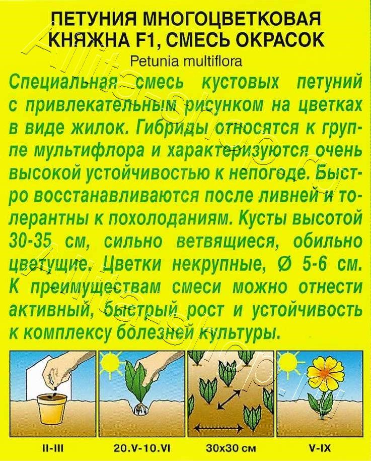 Петуния Княжна F1 многоцветковая, смесь окрасок 10шт