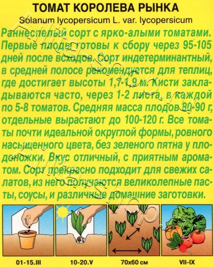 Томат Королева рынка 20шт