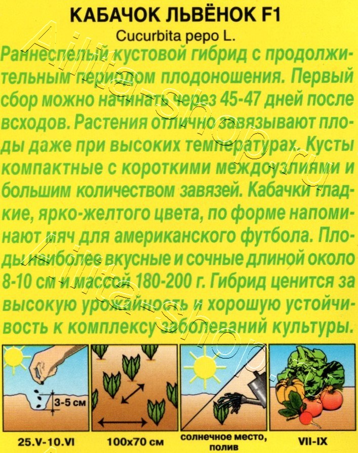 Кабачок цуккини Львёнок F1 5шт