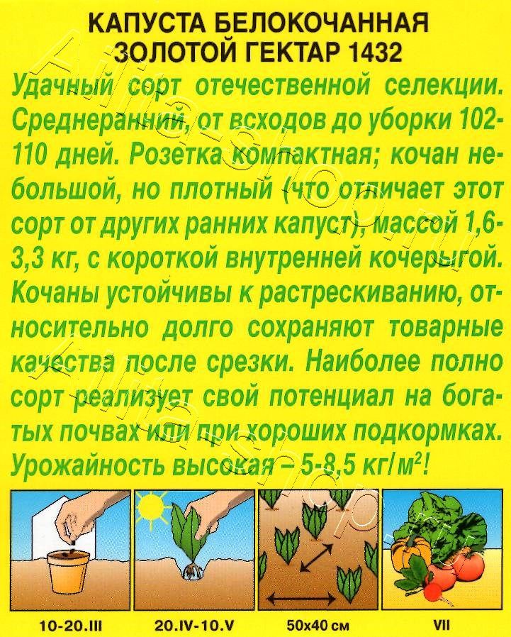 Капуста белокочанная Золотой гектар 1432 0,5г