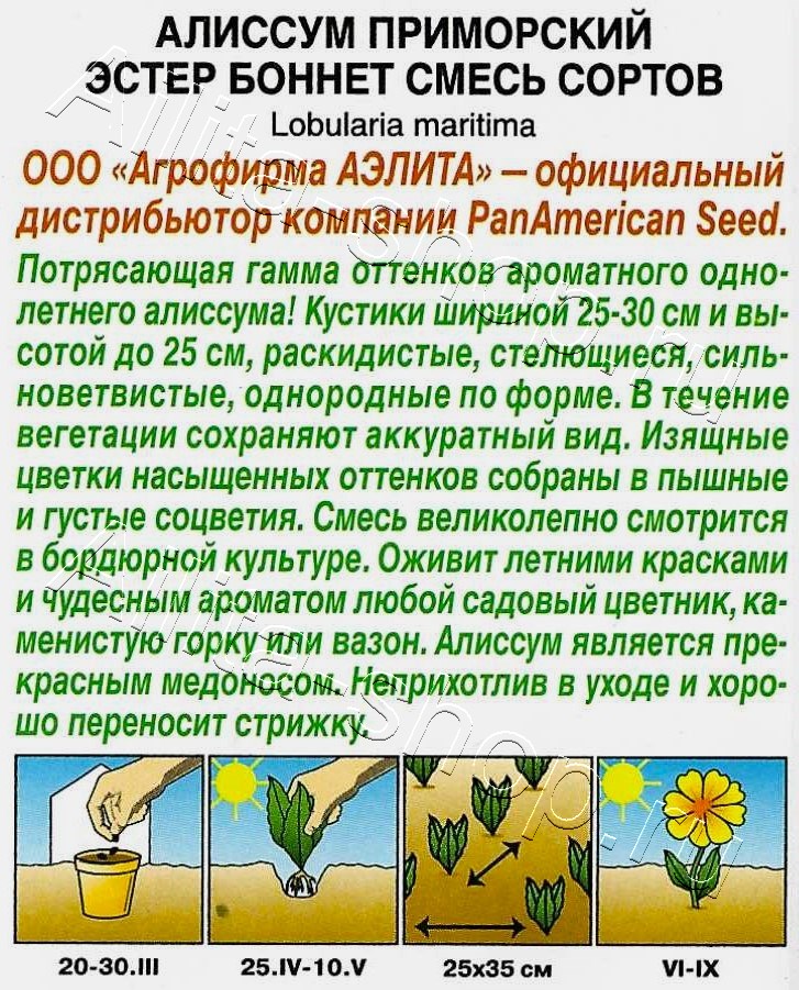 Алиссум Эстер Боннет, смесь сортов 10шт