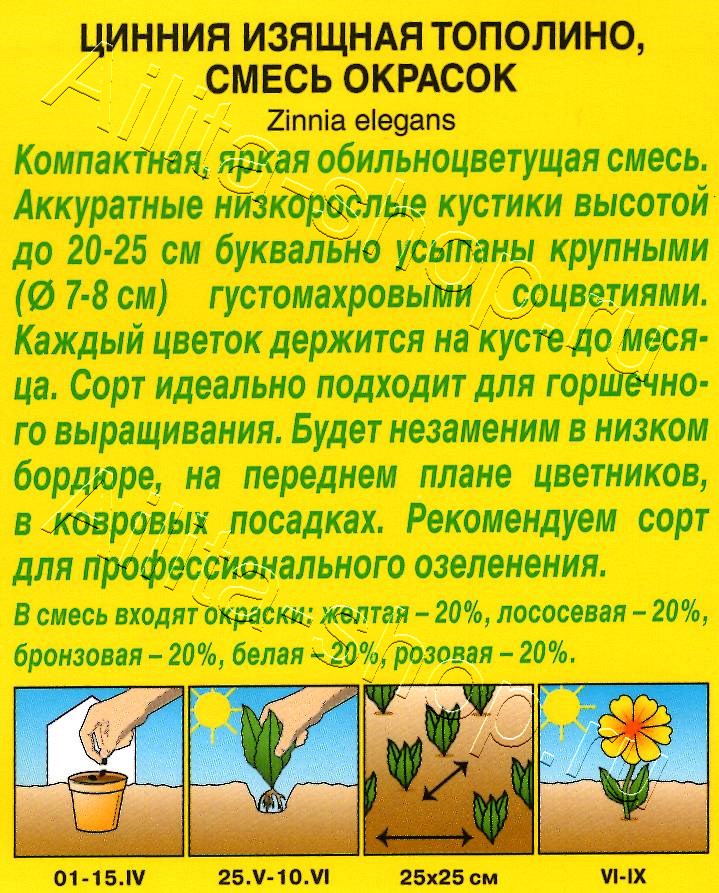 Цинния Тополино, смесь окрасок 100% махровая 12шт