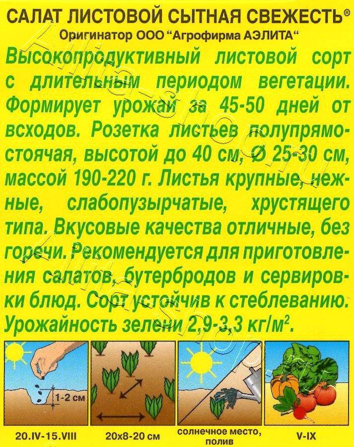 Салат Сытная свежесть листовой 0,5г