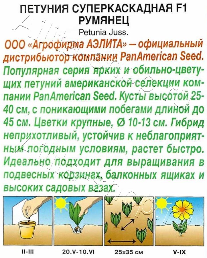 Петуния суперкаскадная F1 румянец 7шт