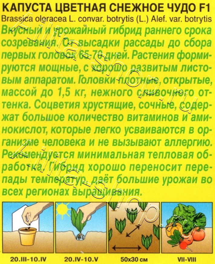 Капуста цветная Снежное чудо F1 10шт