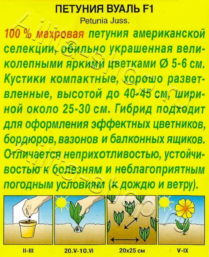 Петуния Вуаль F1 обильноцветущая махровая 5шт