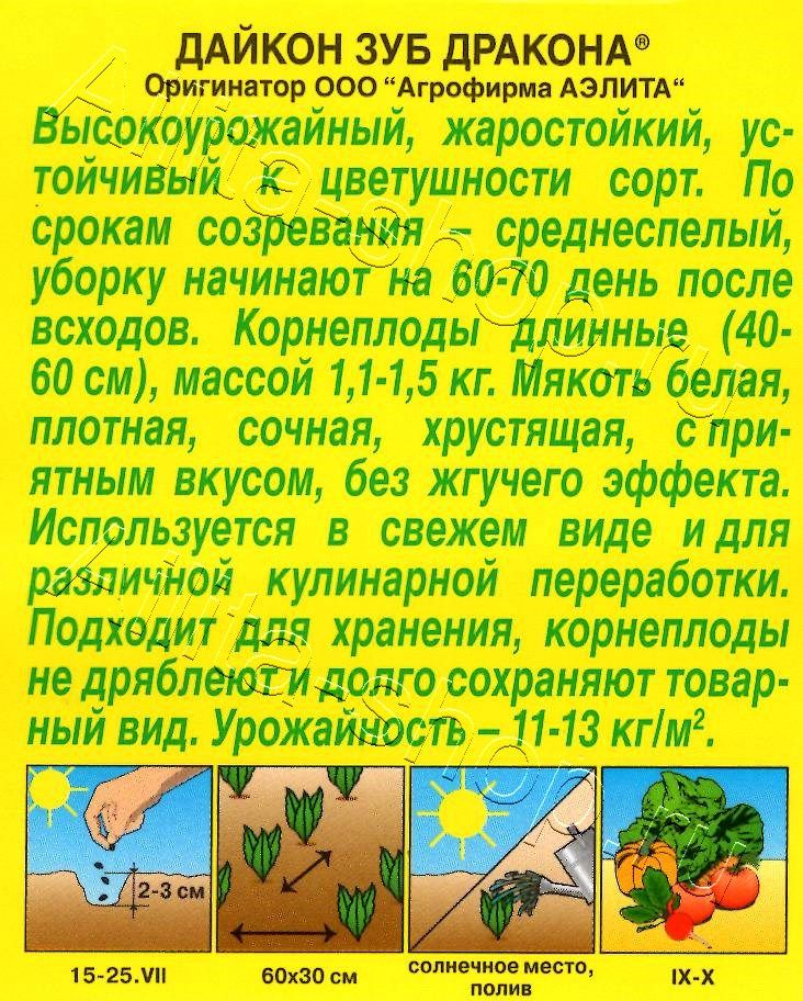 Дайкон Зуб дракона 1г