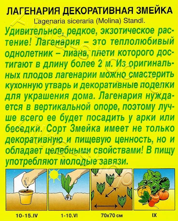 Лагенария декоративная Змейка 1г