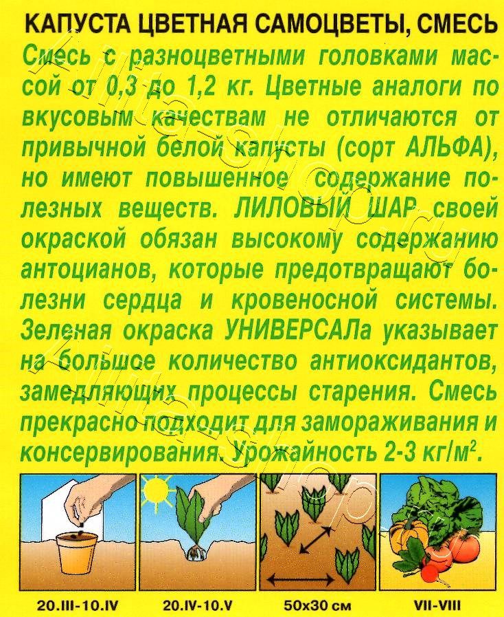 Капуста цветная Самоцветы, смесь 0,2г