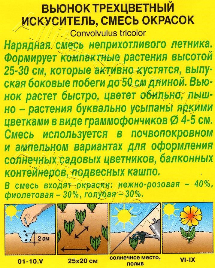 Вьюнок Искуситель, смесь окрасок 1г