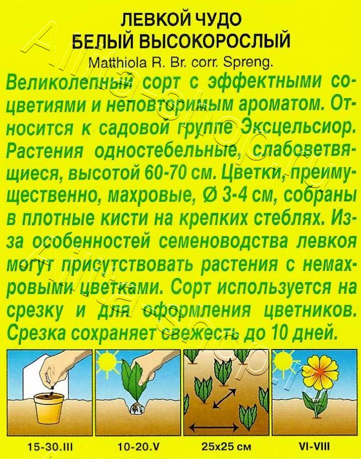 Левкой высокорослый Чудо белый 0,1г