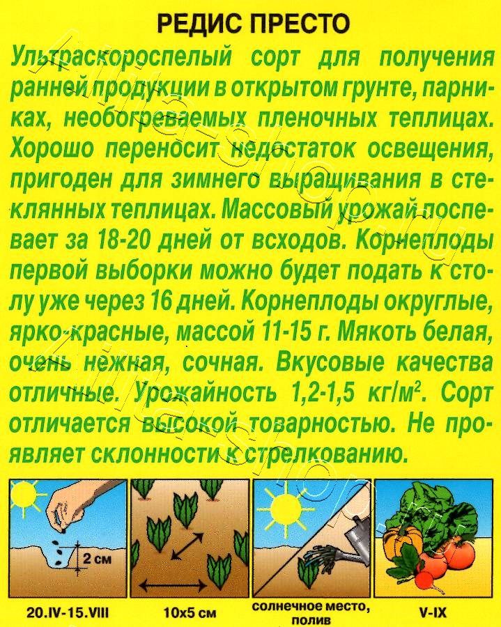 Редис Престо 2г