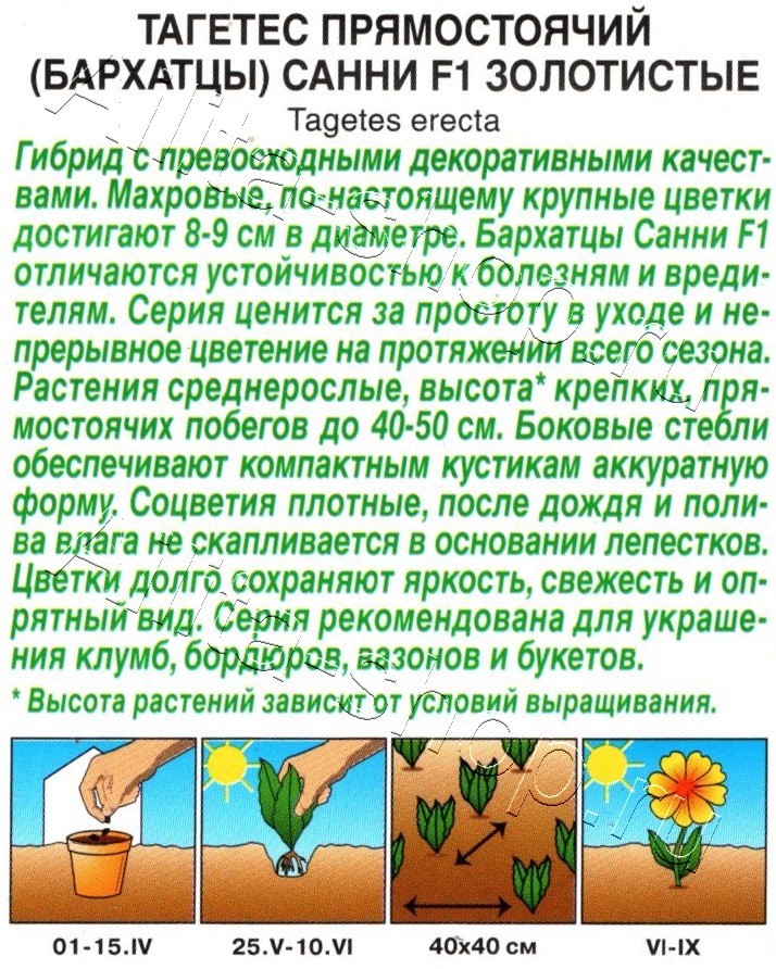 Бархатцы Санни F1 золотистые прямостоячие 10шт