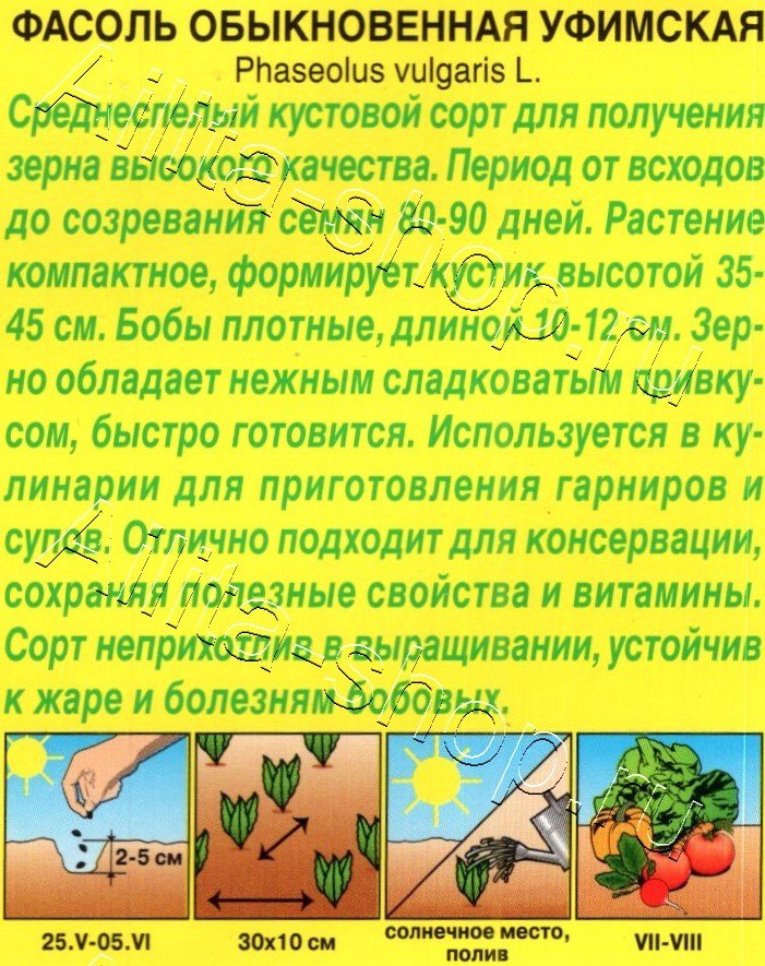 Фасоль обыкновенная Уфимская 5г