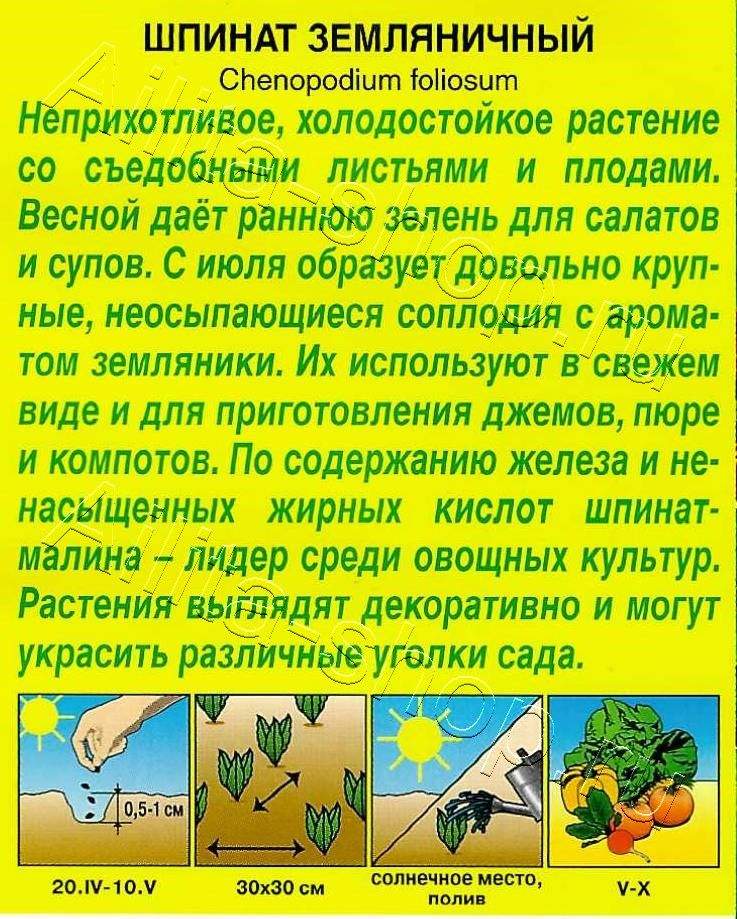 Шпинат Земляничный 0,05г