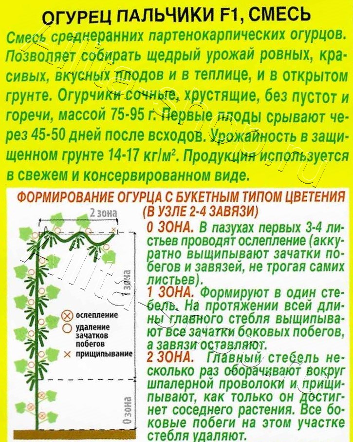 Огурец Пальчики F1, смесь 10шт