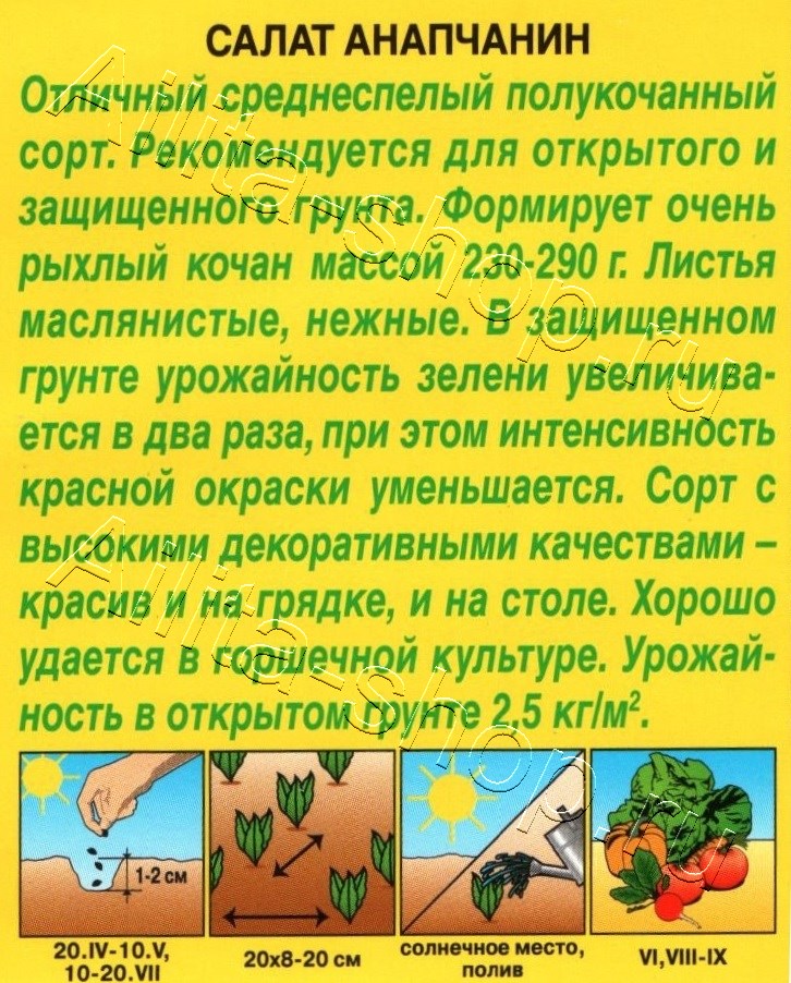 Салат Анапчанин полукочанный 0,5г