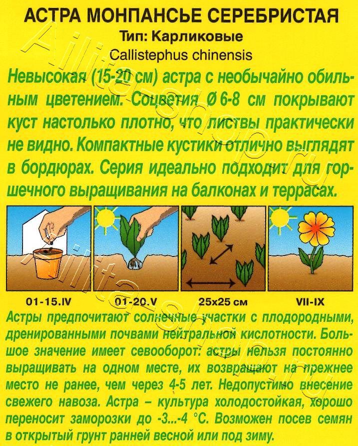 Астра Монпансье серебристая 0,2г