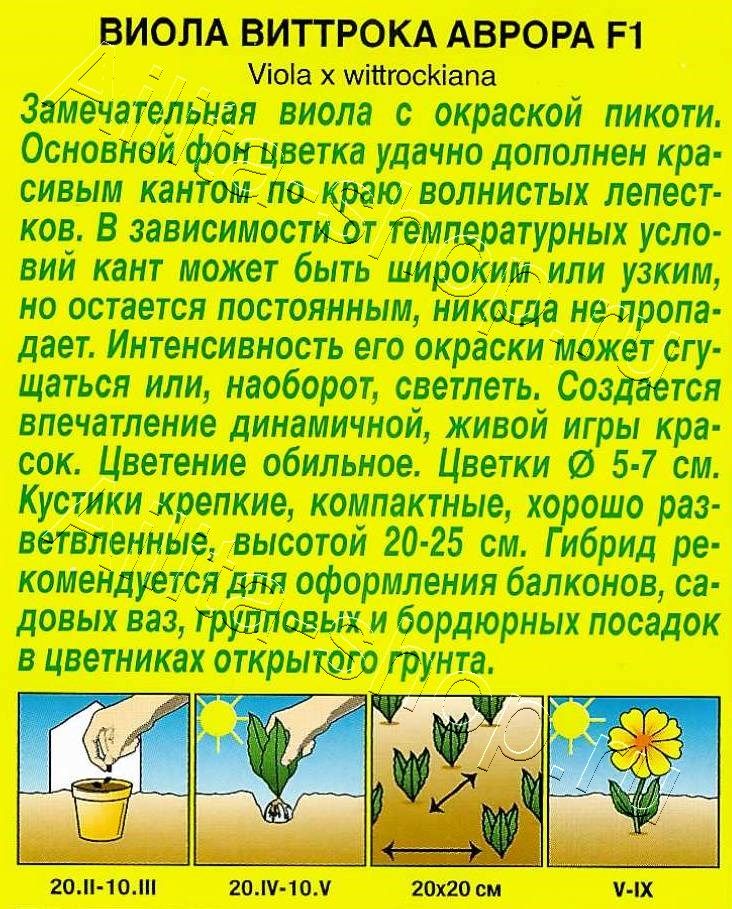 Виола Аврора F1 7шт