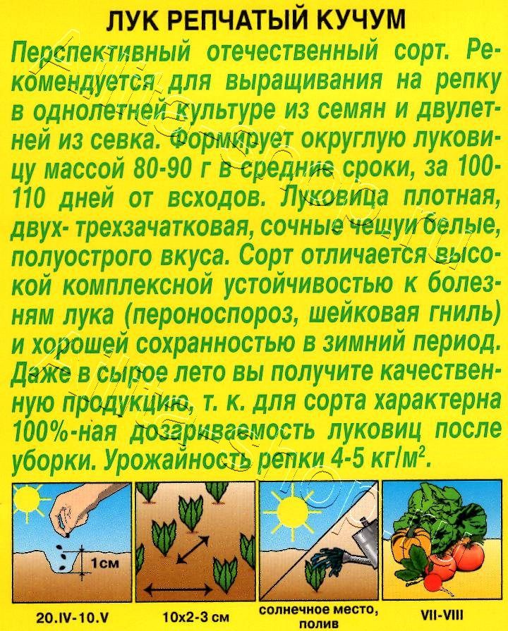 Лук репчатый Кучум 1г