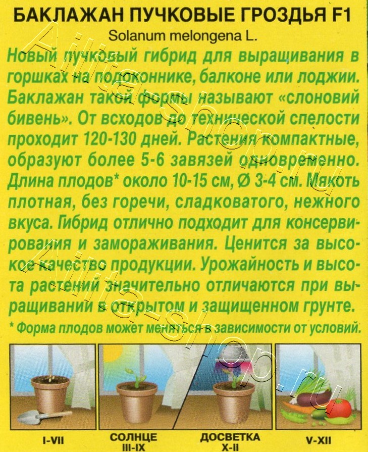 Баклажан Пучковые гроздья F1 10шт