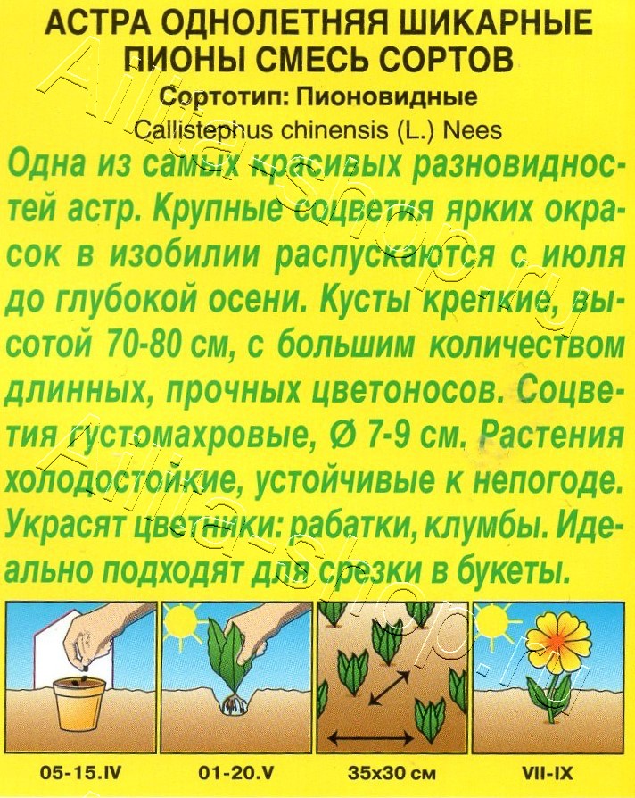 Астра Шикарные пионы, смесь сортов 0,2г