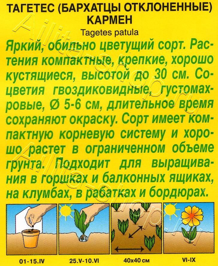 Бархатцы Кармен отклоненные 0,5г