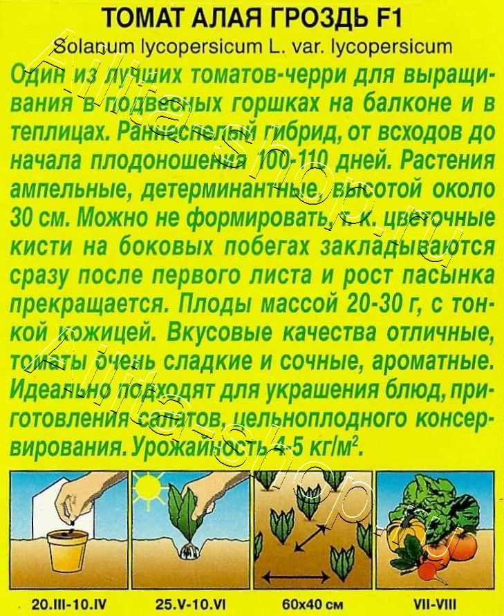 Томат Алая гроздь F1 10шт
