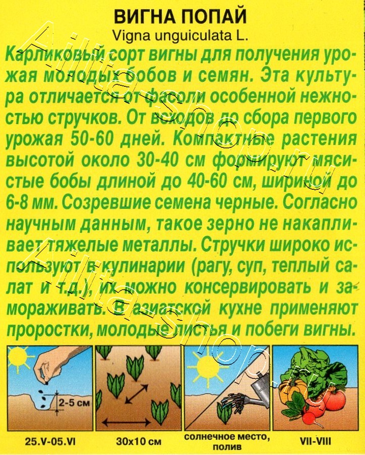 Вигна Попай 3г