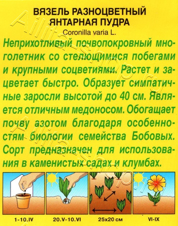 Вязель Янтарная пудра 0,2г